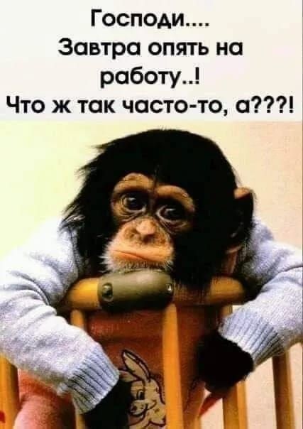 Господи.... Завтра опять на работу..! Что ж так часто-то, а??! 
