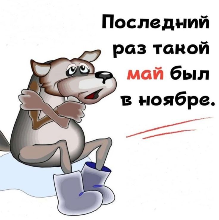 Последний раз такой май был в ноябре.