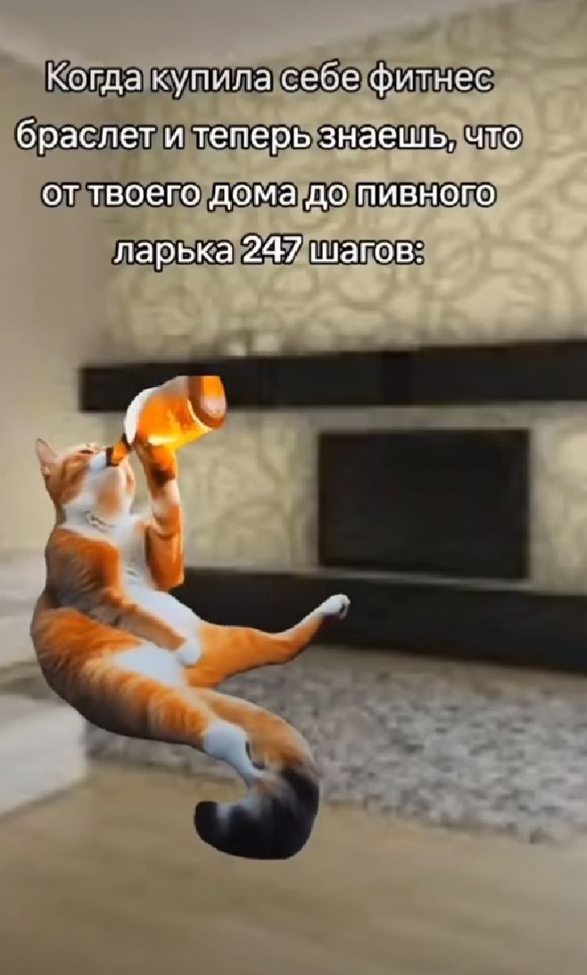 Когда купила себе фитнес браслет и теперь знаешь, что от твоего дома до пивного ларька 247 шагов: