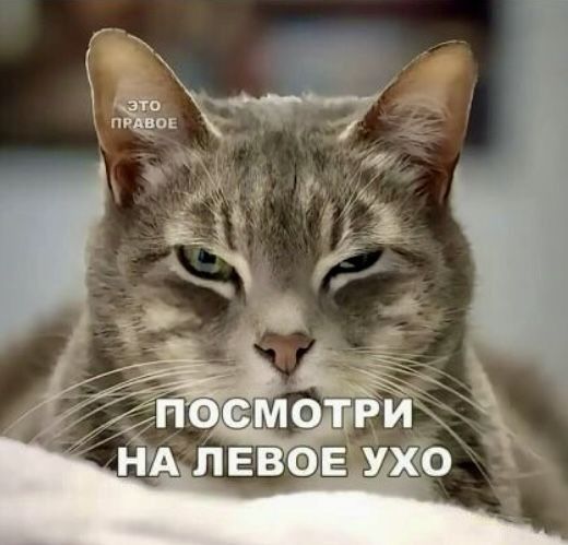 ПОСМОТРИ НА ЛЕВОЕ УХО