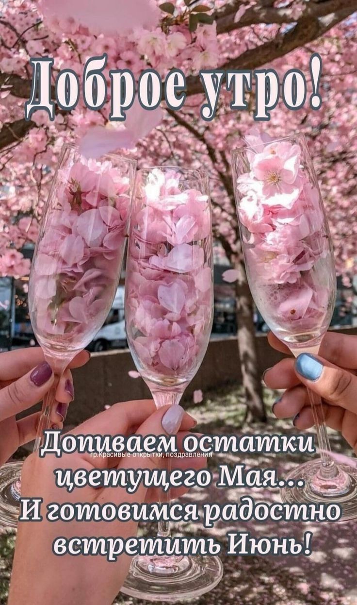 Доброе утро!
Допиваем остатки цветущего Мая...
И готовимся радостно встретить Июнь!