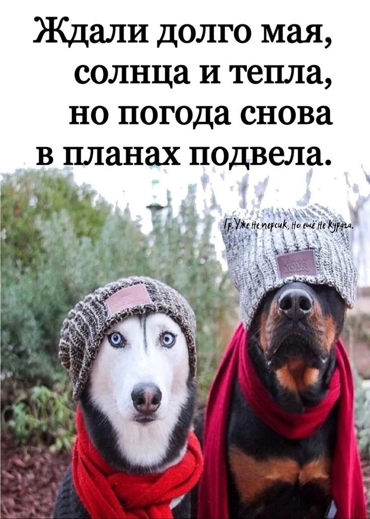 Ждали долго мая, солнца и тепла, но погода снова в планах подвела.