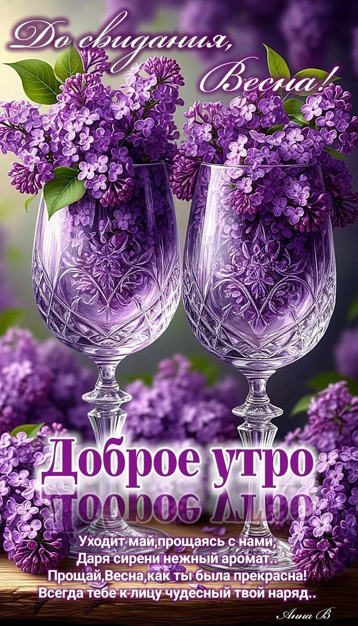 До свидания, Весна!
Доброе утро
Уходит май, прощая с нами, Даря сирени нежный аромат! Прощай, Весна, как ты была прекрасна! Всегда тебе к лицу чудесный твой наряд.