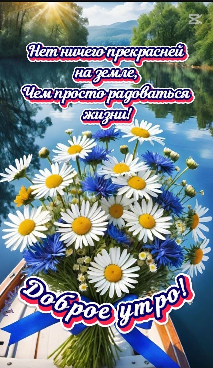 Нет ничего прекрасней на земле, Чем просто радоваться жизни! Доброе утро!