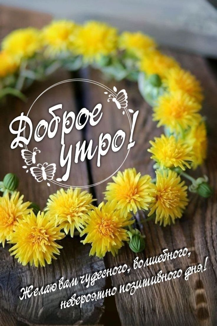 Доброе утро! Желаю вам чудесного, волшебного, невероятно позитивного дня!