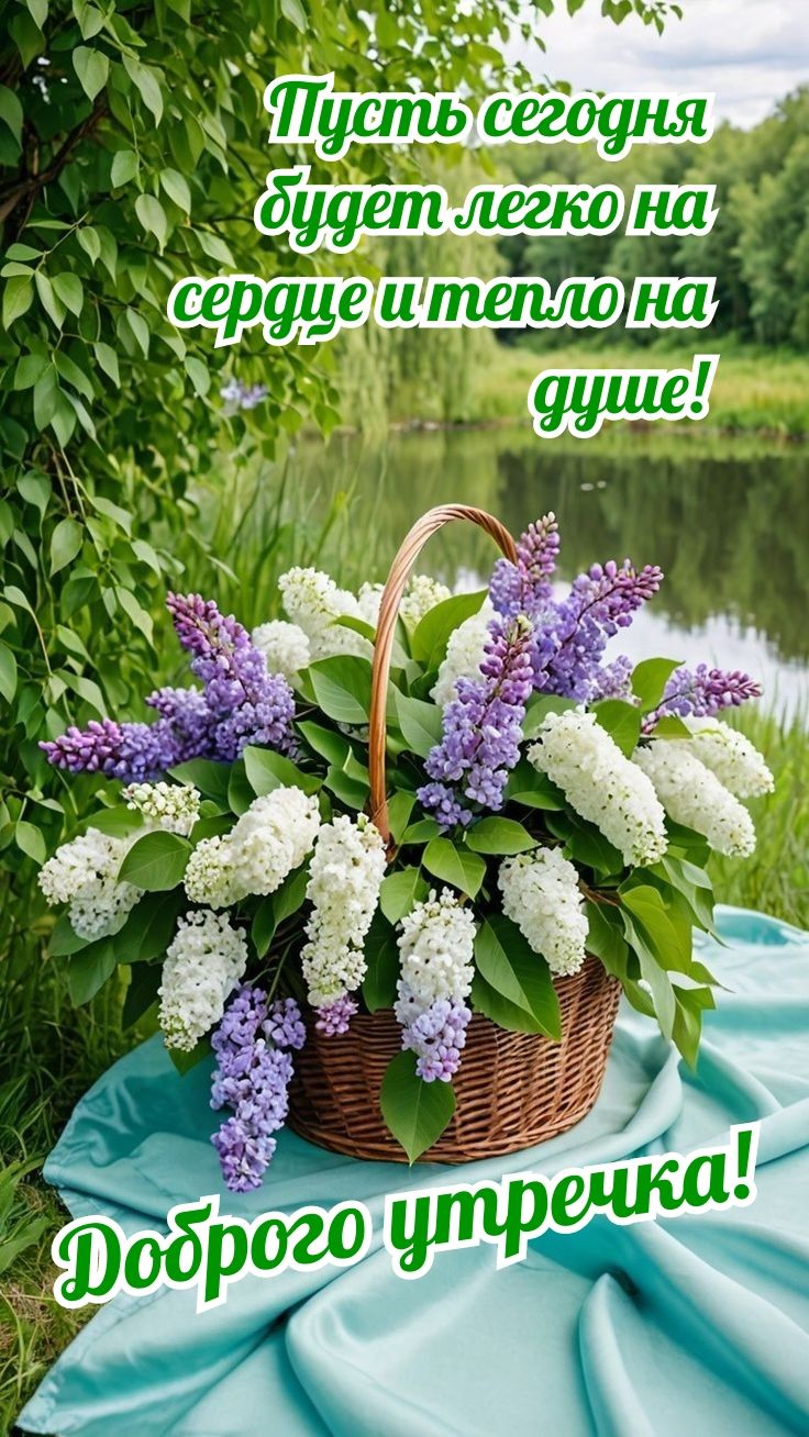 Пусть сегодня будет легко на сердце и тепло на душе! Доброе утречка!