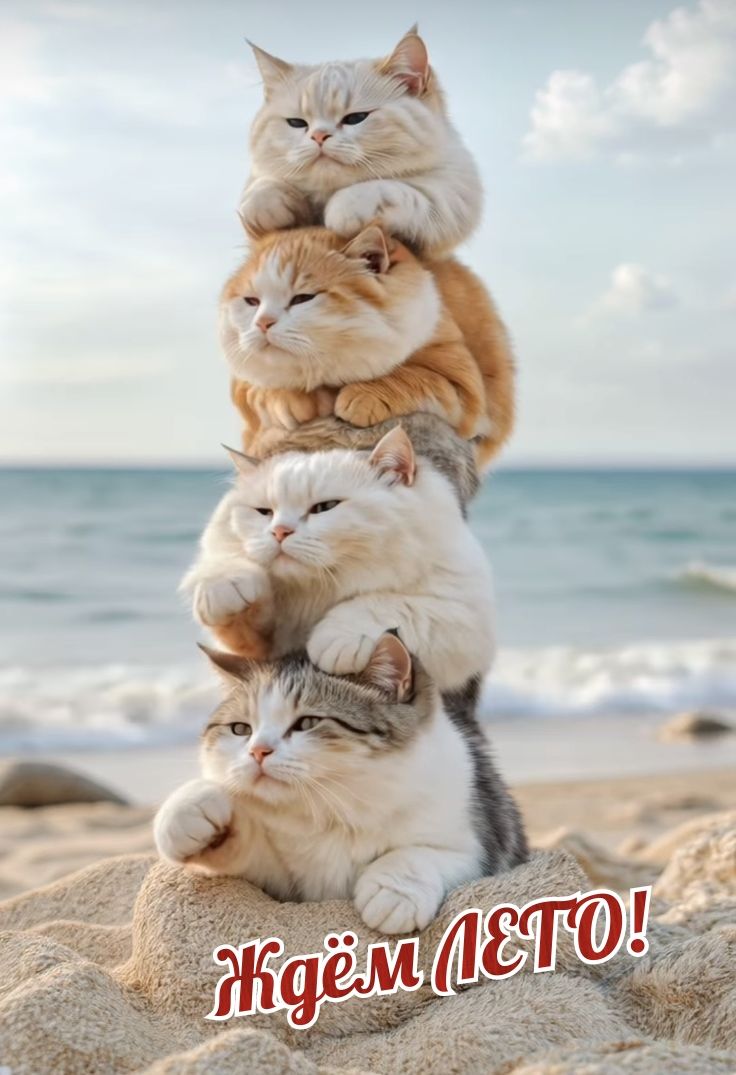 Ждём ЛЕТО!