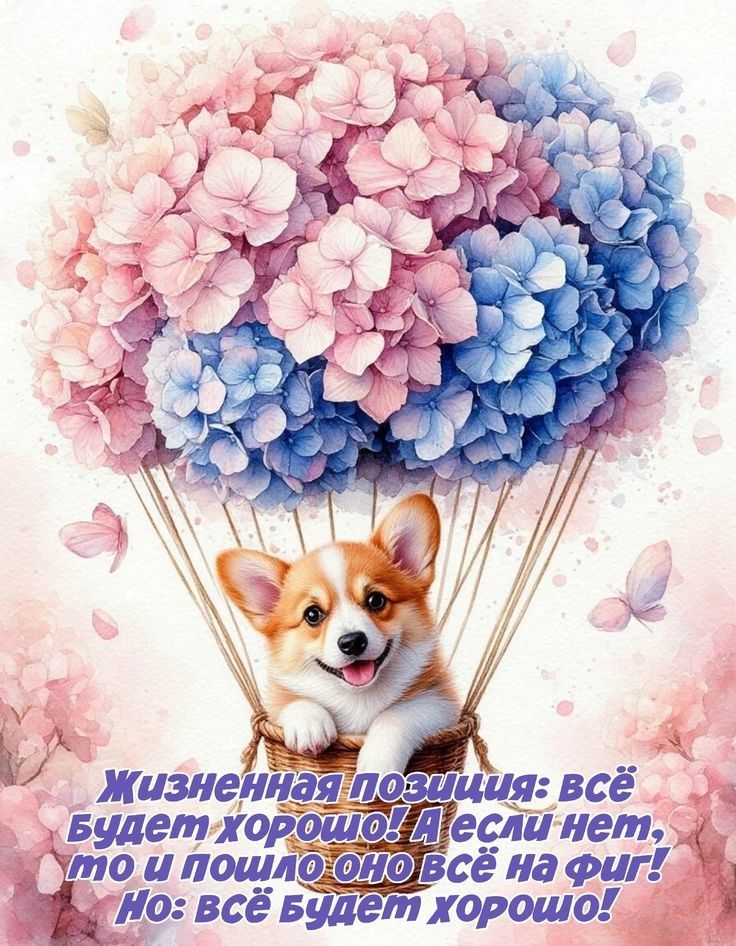 Жизненная позиция: всё будет хорошо! А если нет, то пошло оно всё на фиг! Но: всё будет хорошо!