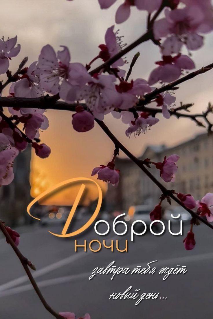 Доброй ночи
завтра тебя ждёт
новый день...