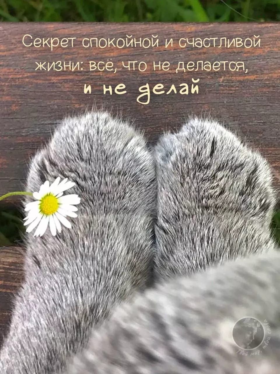 Секрет спокойной и счастливой жизни: всё, что не делается, и не делай