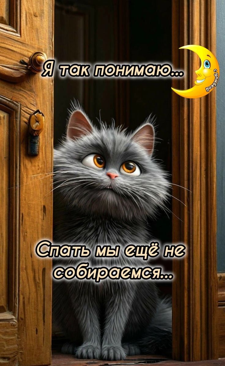 Я так понимаю...
Спать мы ещё не собираемся...