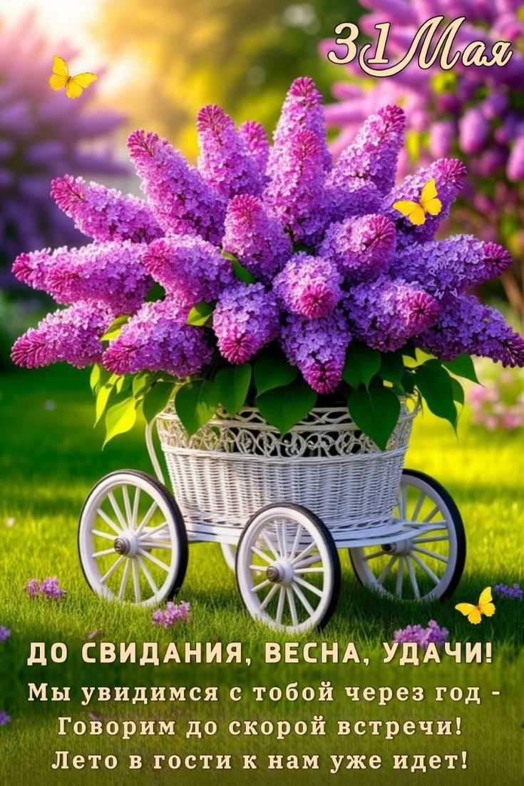 31 Мая

ДО СВИДАНИЯ, ВЕСНА, УДАЧИ!
Мы увидимся с тобой через год -
Говорим до скорой встречи!
Лето в гости к нам уже идет!