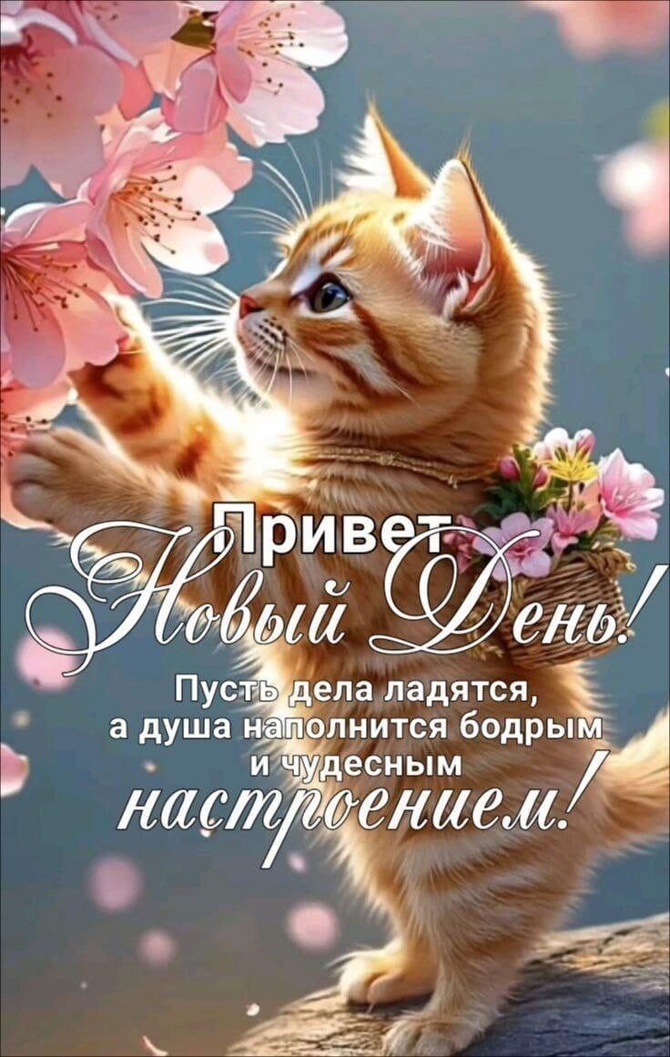 Привет! Новый День! Путь дела ладятся, а душа наполнится бодрым и чудесным настроением!