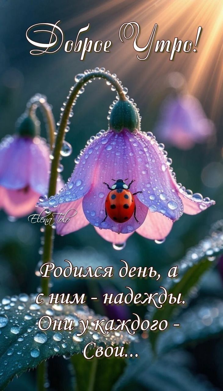 Доброе Утро! Родился день, а с ним - надежды. Они у каждого - Свои...