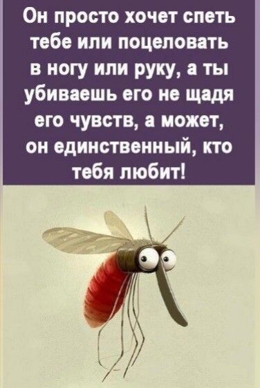 Он просто хочет спеть тебе или поцеловать в ногу или руку, а ты убиваешь его не щадя его чувств, а может, он единственный, кто тебя любит!