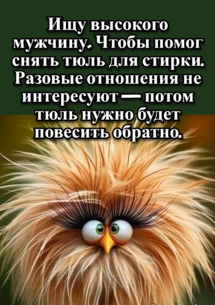 Ищу высокого мужчину. Чтобы помог снять тюль для стирки. Разовые отношения не интересуют — потом тюль нужно будет повесить обратно.