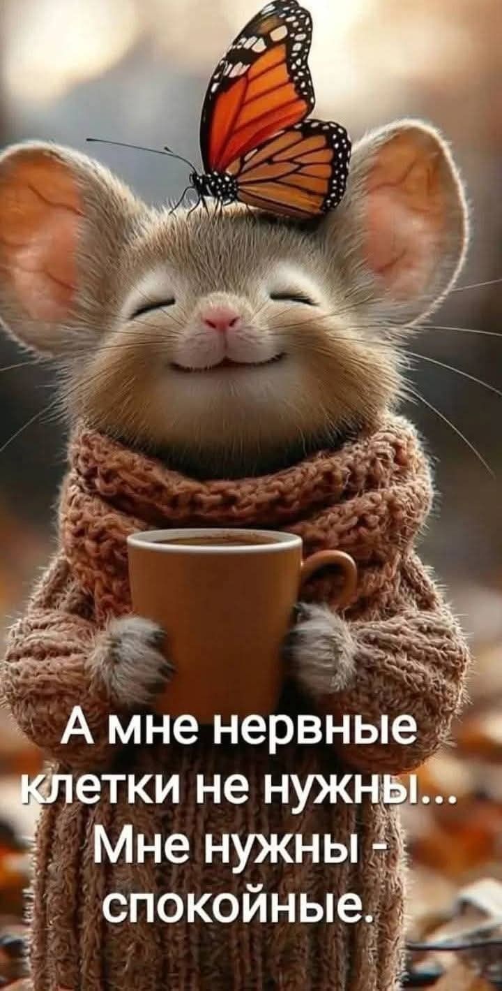 А мне нервные клетки не нужны...
Мне нужны - спокойные.