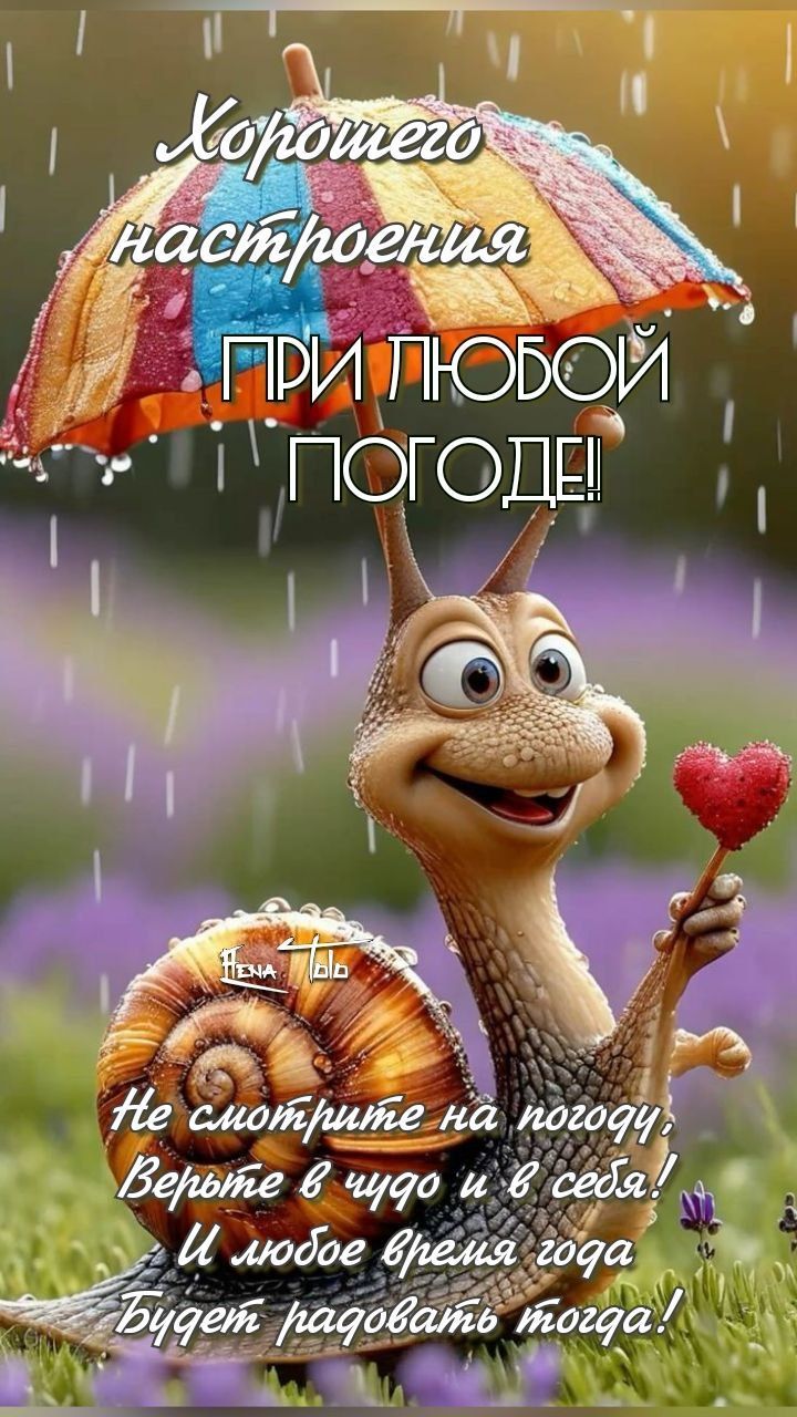 Хорошего настроения ПРИ ЛЮБОЙ ПОГОДЕ! Не смотрите на погоду, Верйте в чудо и в себя! И любое время года Будет радовать тогда!