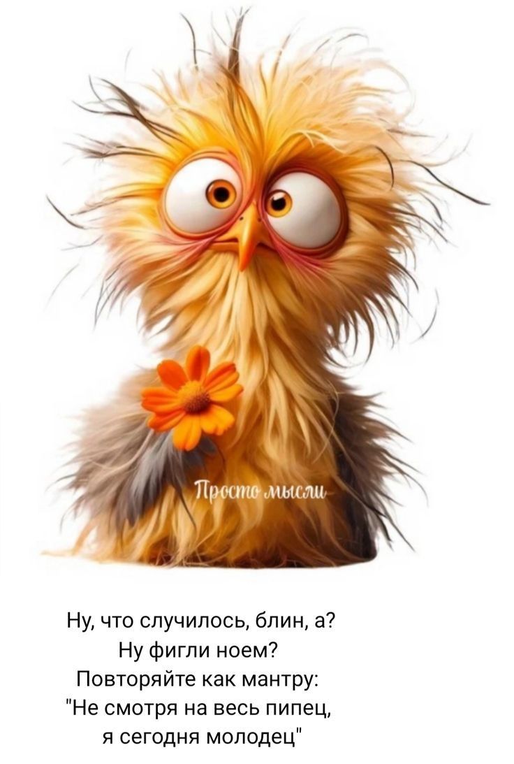 Ну, что случилось, блин, а? Ну фигли поем? Повторяйте как мантру: 