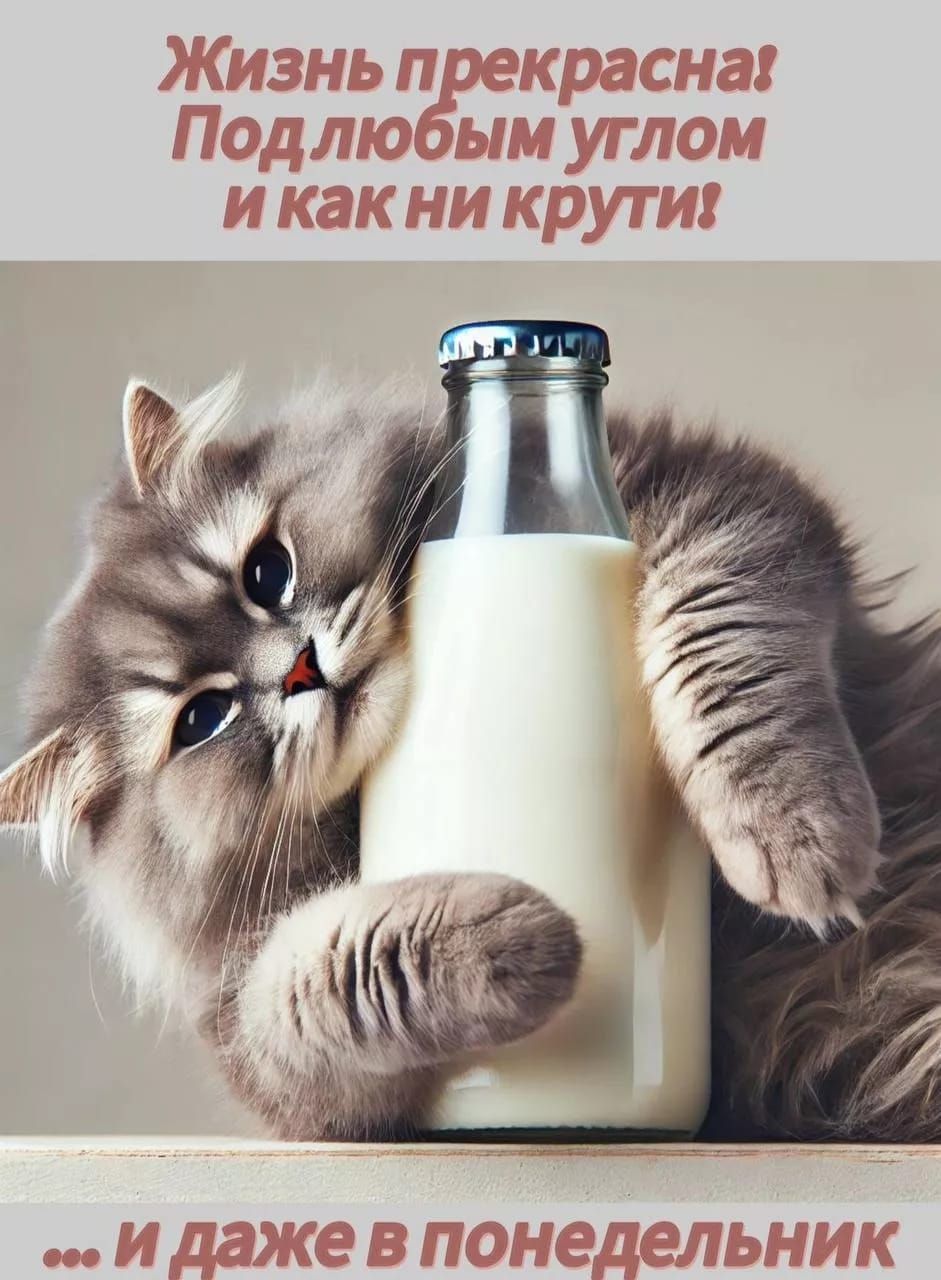 Жизнь прекрасна! Под любым углом и как ни крути! ... и даже в понедельник
