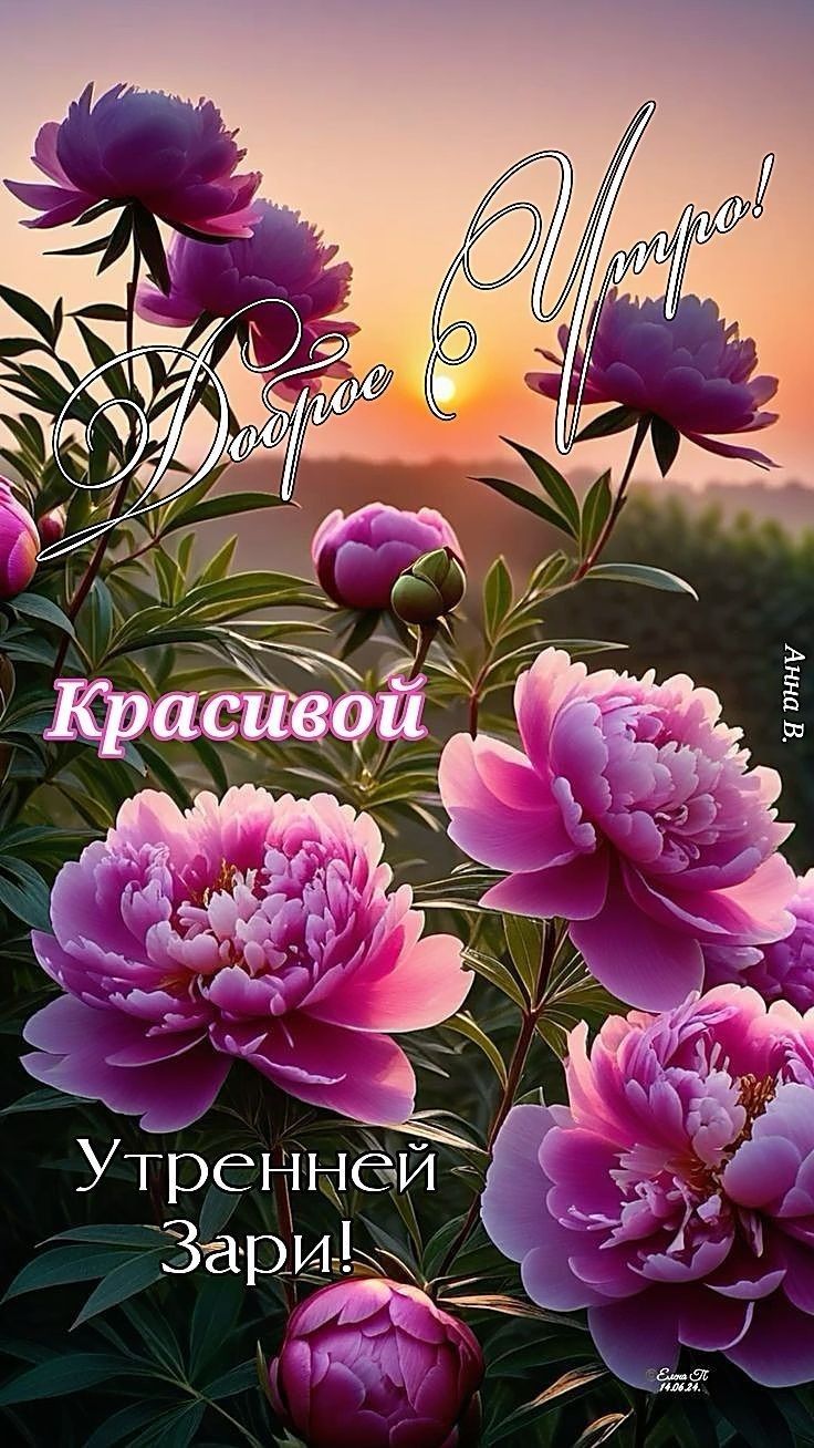 Доброе Утро! Красивой Утренней Зари!