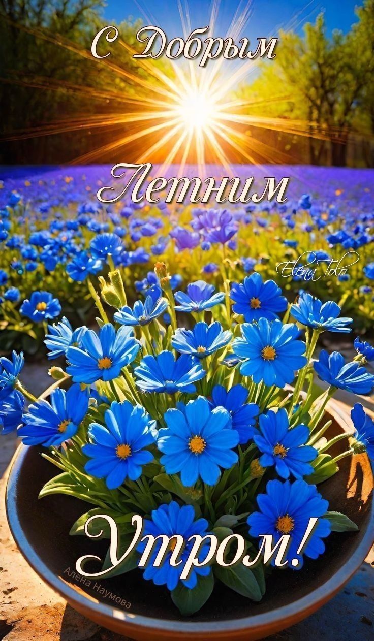 С Добрым Летним Утром!