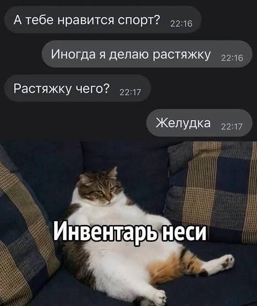 А тебе нравится спорт? Иногода я делаю растяжку. Растяжку чего? Животик. Инвентарь неси.