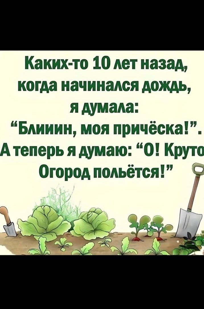 Каких-то 10 лет назад, когда начинался дождь, я думала: 