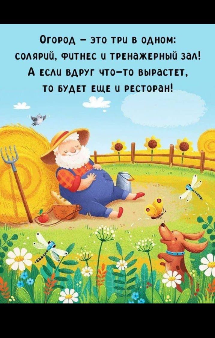 Огород – это три в одном: солярий, фитнес и тренажерный зал! А если вдруг что-то вырастет, то будет еще и ресторан!