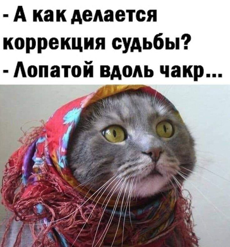 А как делается коррекция судьбы?
- Лопатой вдоль чакр...