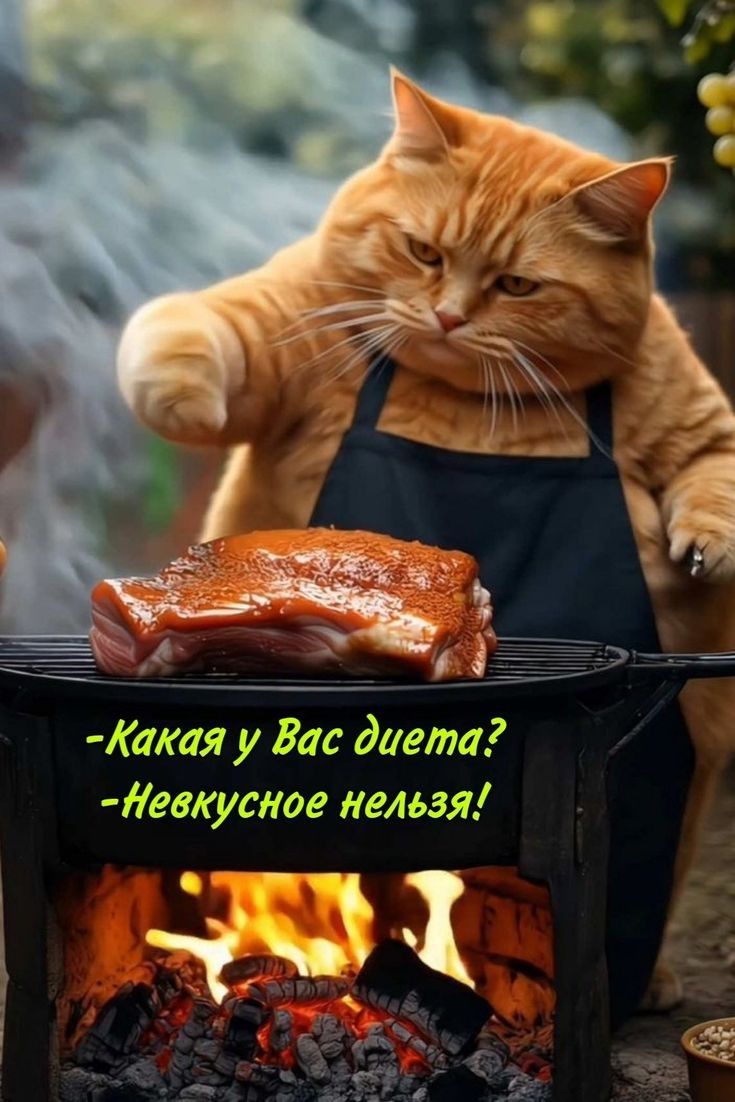 -Какая у Вас диета?
-Невкусное нельзя!