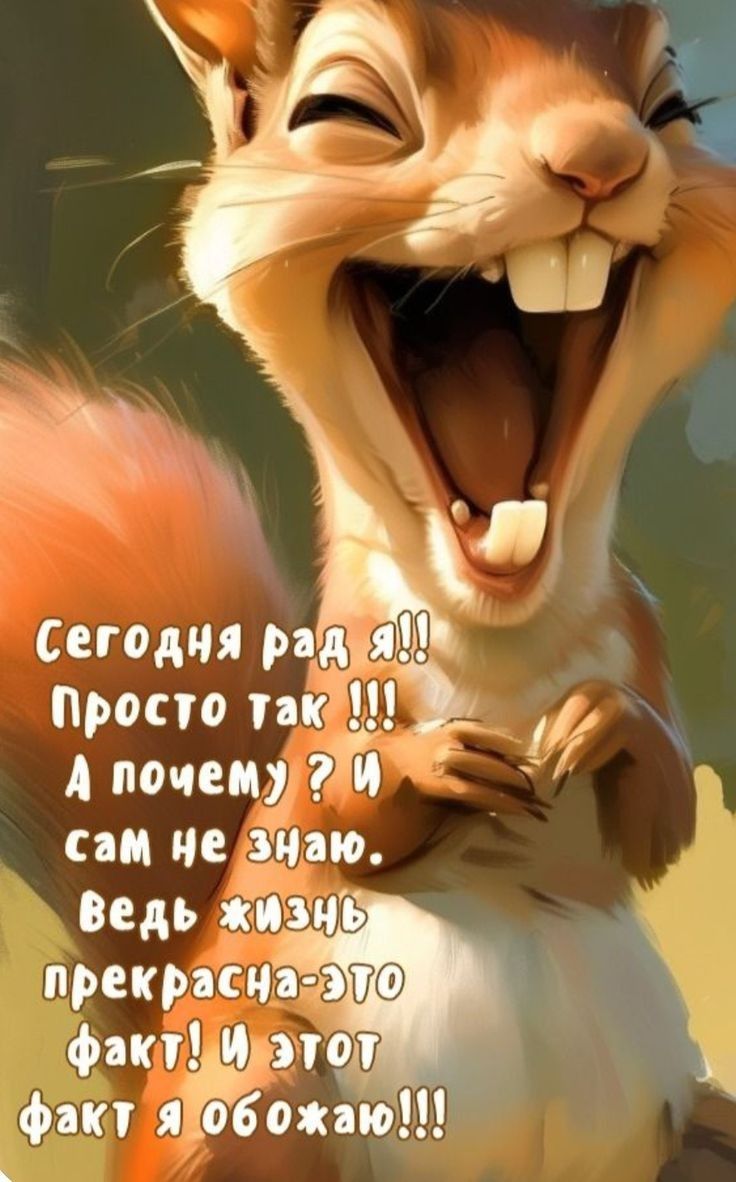 Сегодня рад я!! Просто так !!! А почему ? И сам не знаю. Ведь жизнь прекрасна-это факт! И этот факт я обожаю!!!