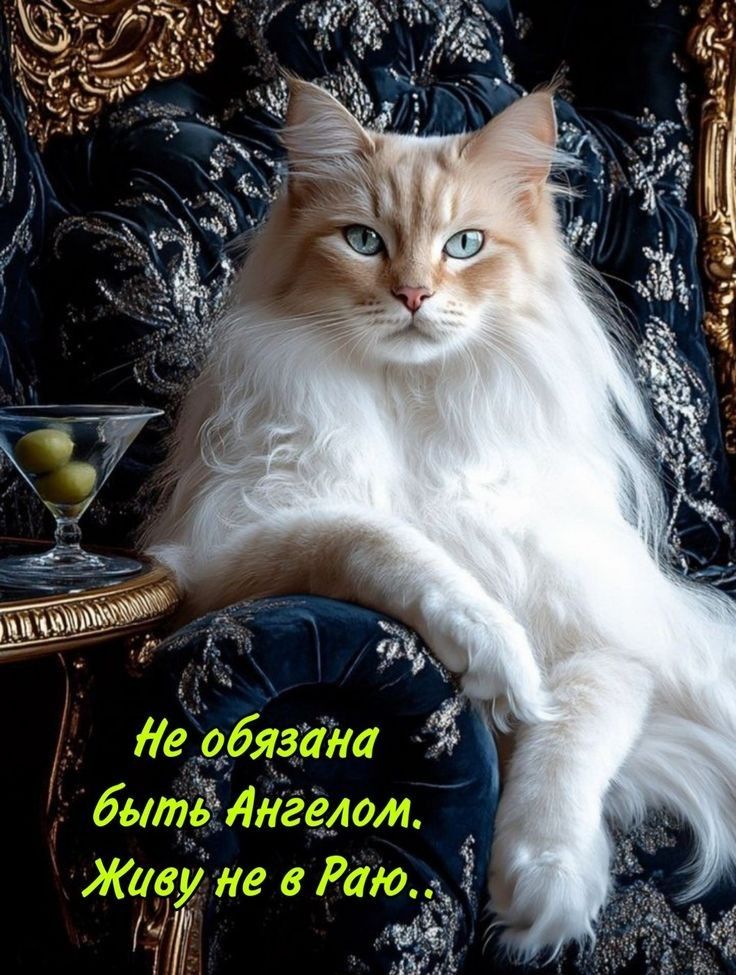 Не обязана быть Ангелом. Живу не в Раю..