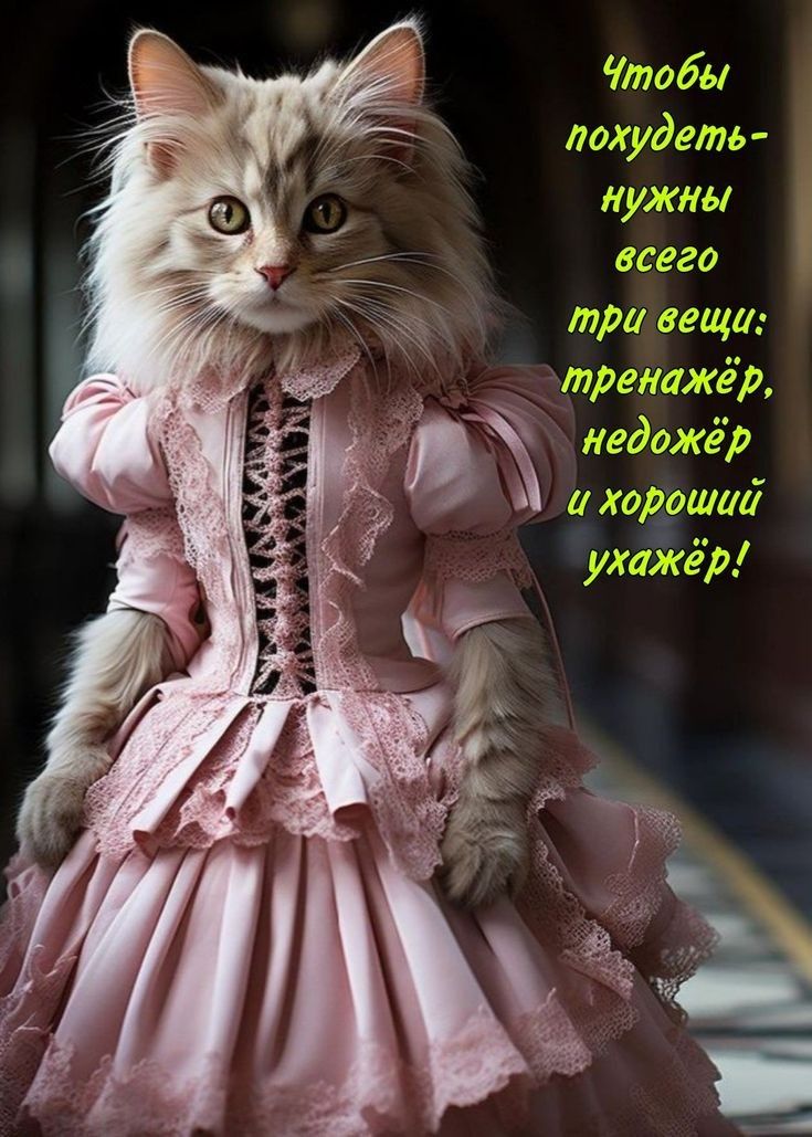 Чтобы похудеть- нужны всего три вещи: тренажёр, недожёр и хороший ухажёр!