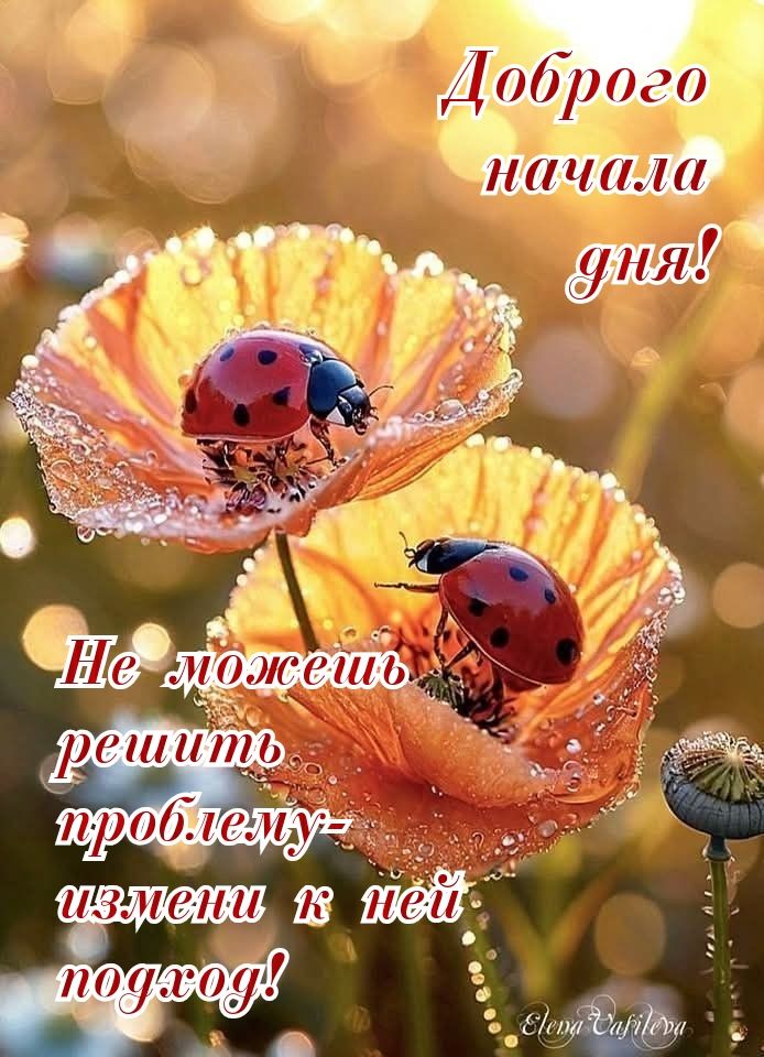 Доброе начала дня! Не можешь решить проблему — измени к ней подход!