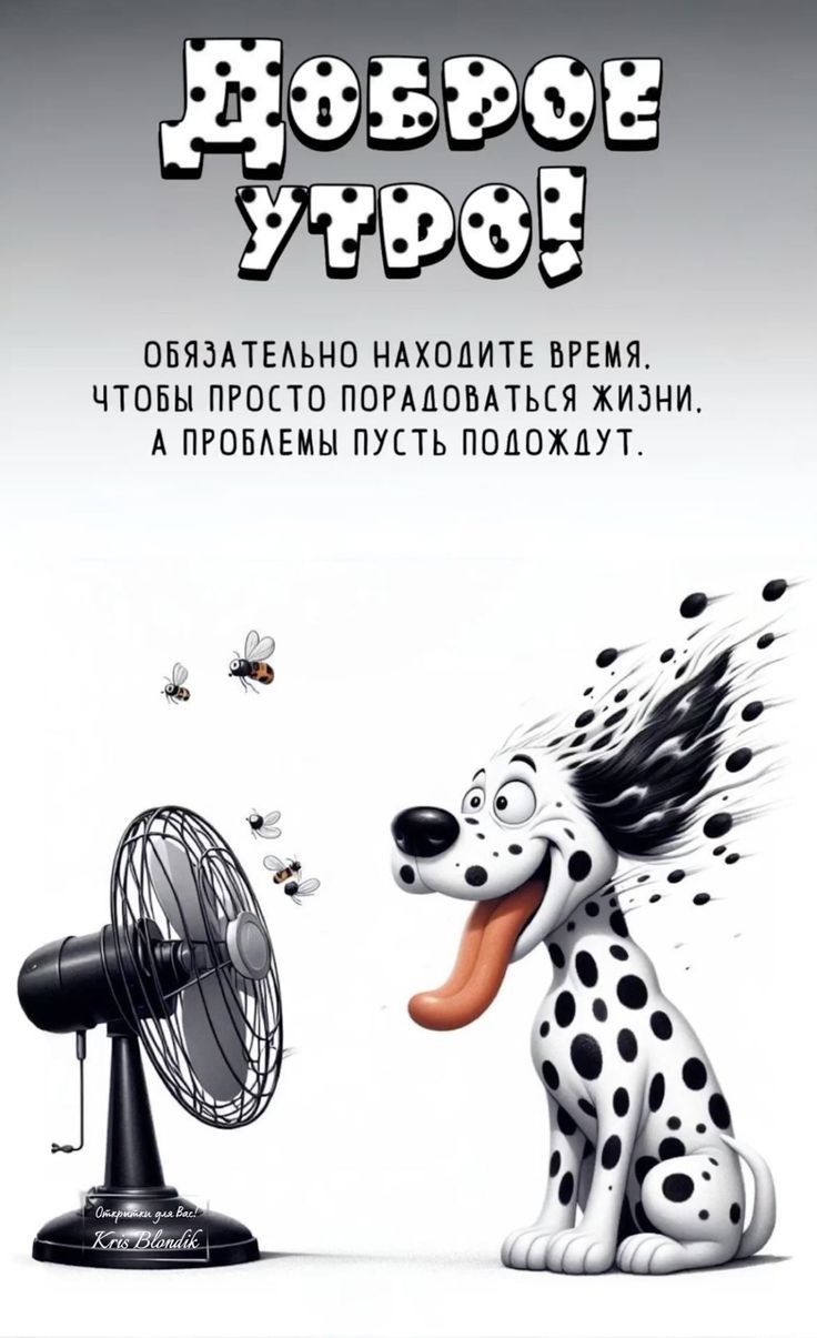 ДОБРОЕ УТРО!
ОБЯЗАТЕЛЬНО НАХОДИТЕ ВРЕМЯ, ЧТОБЫ ПРОСТО ПОРАДОВАТЬСЯ ЖИЗНИ. А ПРОБЛЕМЫ ПУСТЬ ПОЖДУТ.
