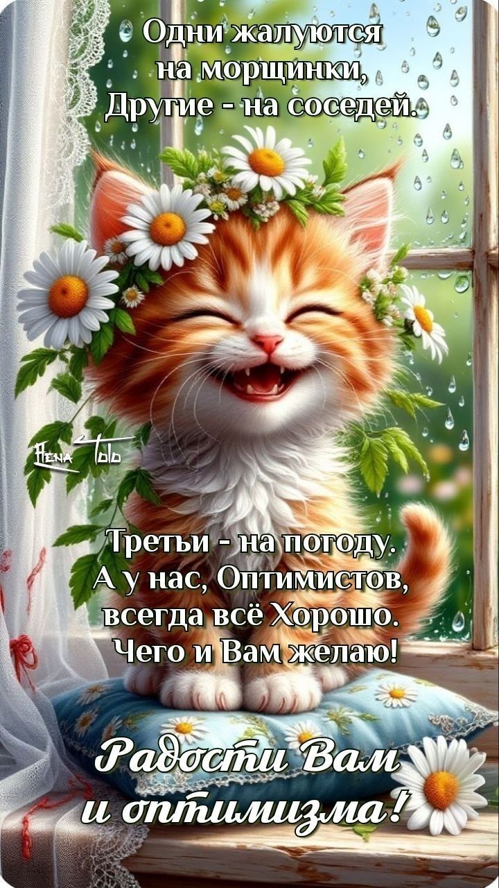 Одни жалуются на морщинки, Другие - на соседей.