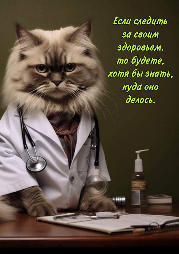 Если следить за своим здоровьем, то будете, хотя бы знать, куда оно делось.