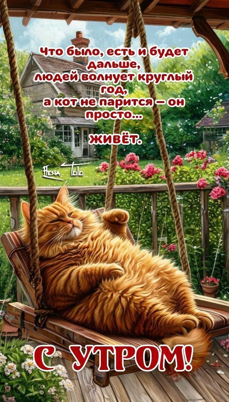 Что было, есть и будет дальше, людей волнует круглый год, а кот не парится — он просто... живёт.
С УТРОМ!
