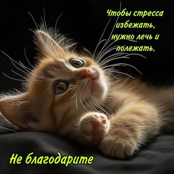 Чтобы стресса избежать, нужно лечь и полежать.
Не благодарите