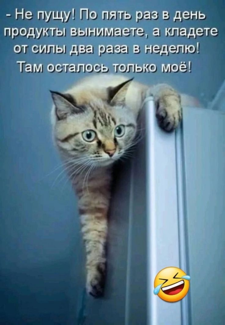 - Не пущу! По пять раз в день продукты вынимаете, а кладете от силы два раза в неделю! Там осталось только моё!