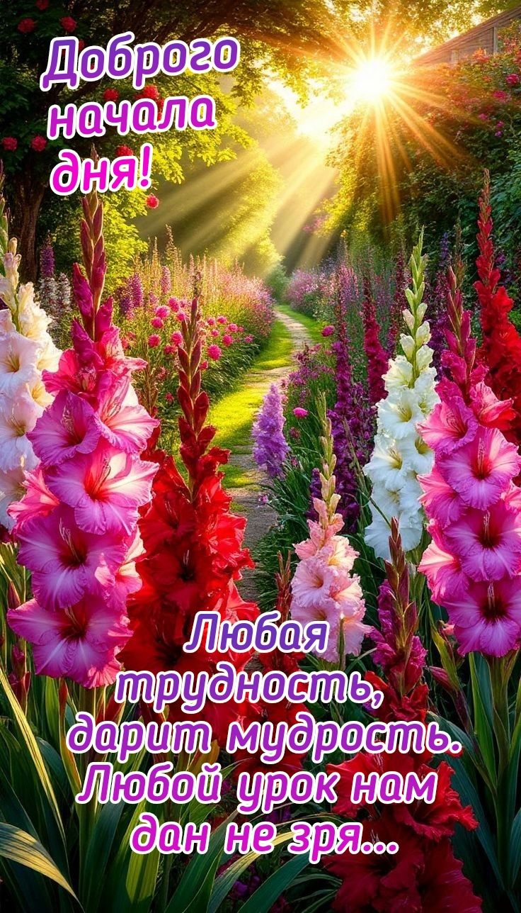 Доброе начало дня!
Любая трудность, дарит мудрость. Любой урок нам дан не зря...