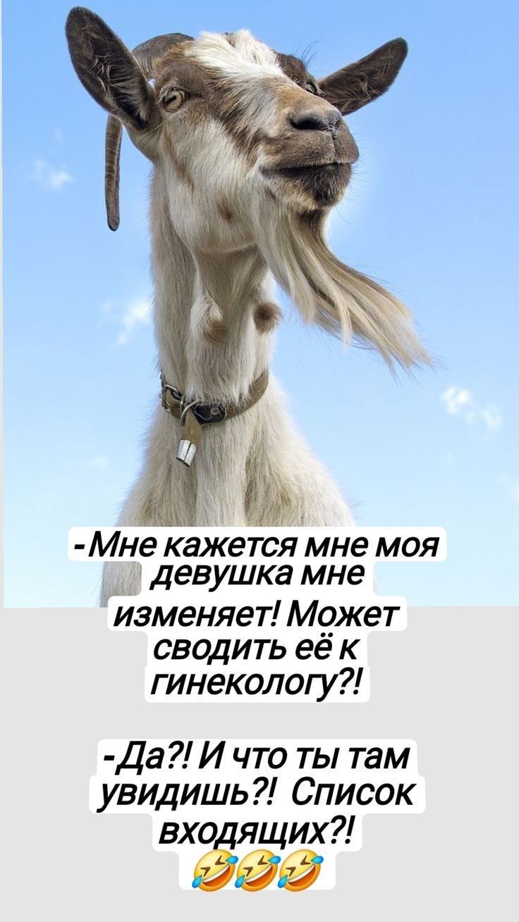 - Мне кажется мне моя девушка мне изменяет! Может сводить её к гинекологу?!
- Да?! И что ты там увидишь?! Список входящих?!
🤣🤣🤣