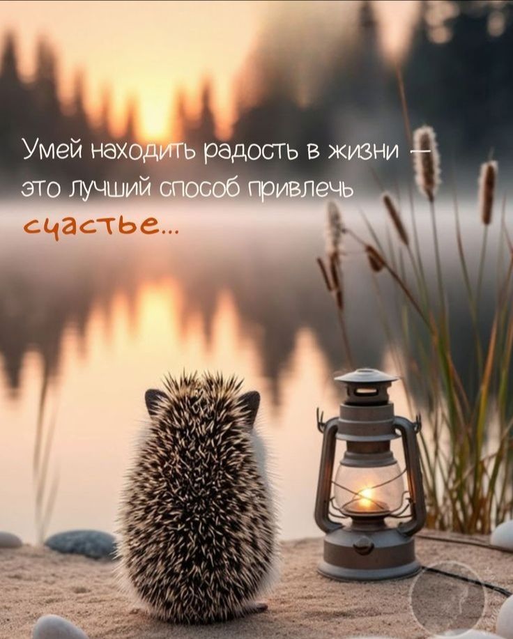 Умей находить радость в жизни – это лучший способ привлечь счастье...
