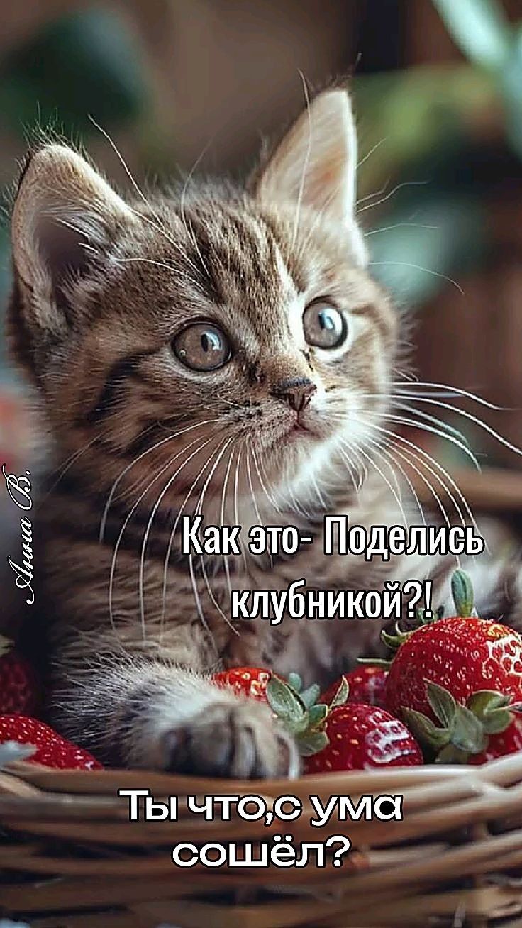 Как это- Поделись клубникой?! Ты что, с ума сошёл?