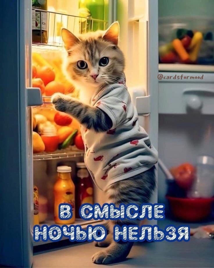 В смысле ночью нельзя