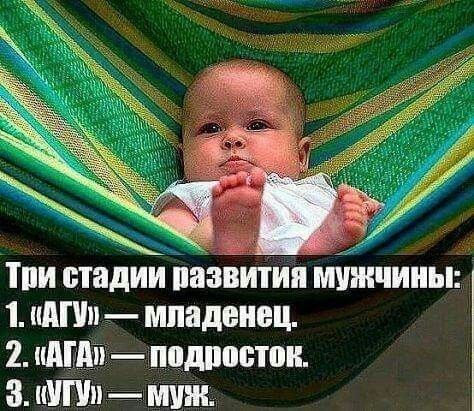 Три стадии развития мужчины:
1. «АГУ» — младенец.
2. «АГА» — подросток.
3. «УГУ» — муж.