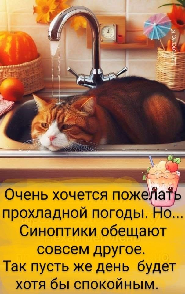 Очень хочется пожелать прохладной погоды. Но... Синоптики обещают совсем другое. Так пусть же день будет хотя бы спокойным.