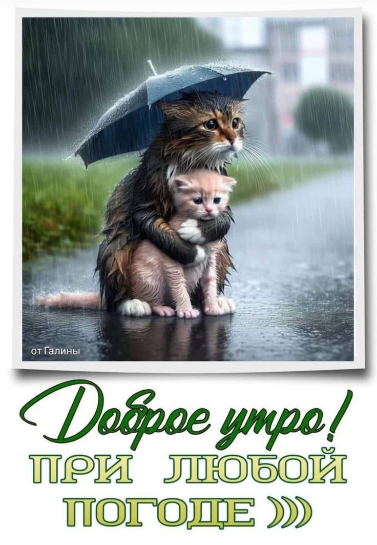 Доброе утро! ПРИ ЛЮБОЙ ПОГОДЕ >>>