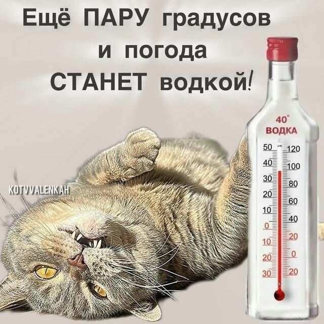 Ещё ПАРУ градусов и погода СТАНЕТ водкой!